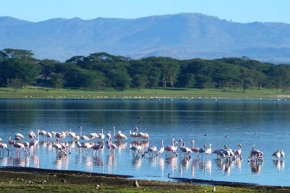 Lake Naivasha