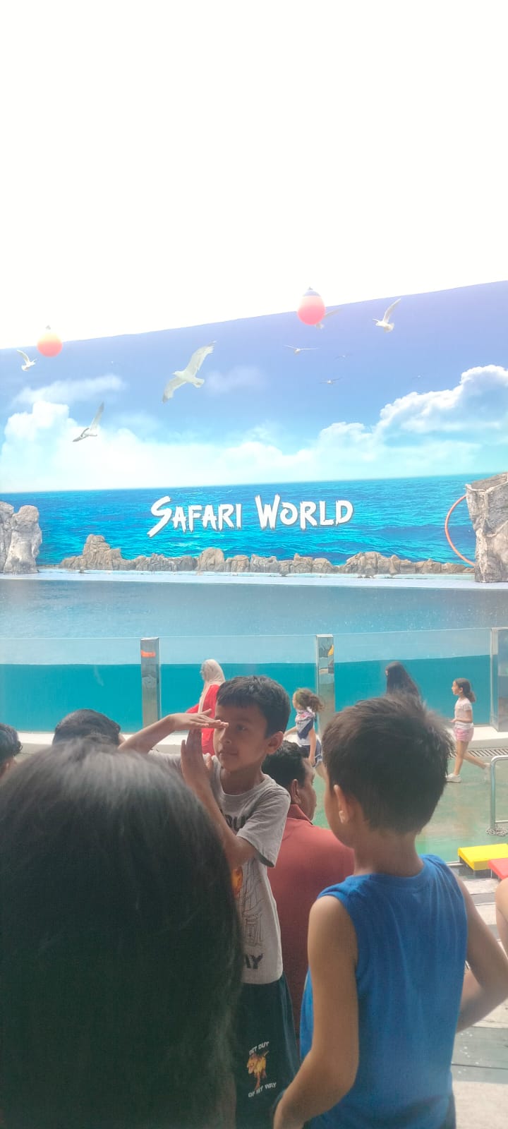 Travel Treasures Collection